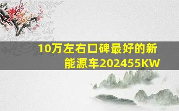 10万左右口碑最好的新能源车202455KW