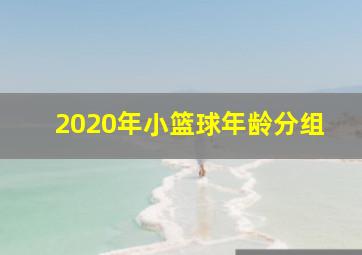 2020年小篮球年龄分组