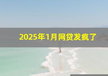 2025年1月网贷发疯了