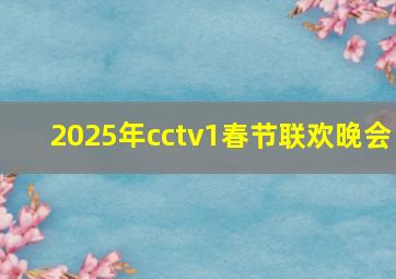 2025年cctv1春节联欢晚会