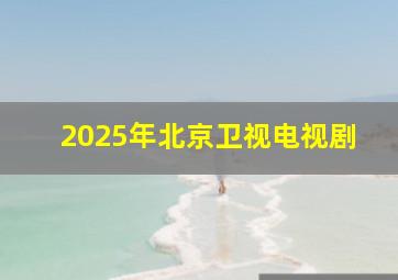 2025年北京卫视电视剧