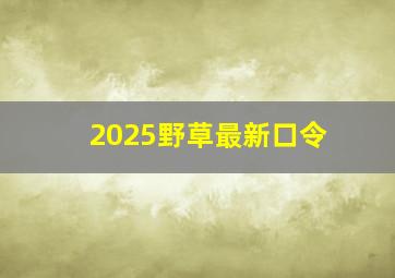 2025野草最新口令