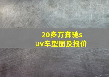 20多万奔驰suv车型图及报价