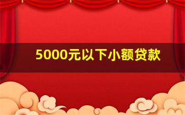 5000元以下小额贷款