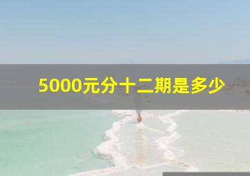 5000元分十二期是多少