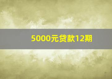 5000元贷款12期