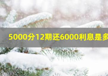 5000分12期还6000利息是多少