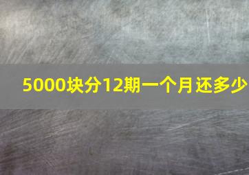 5000块分12期一个月还多少