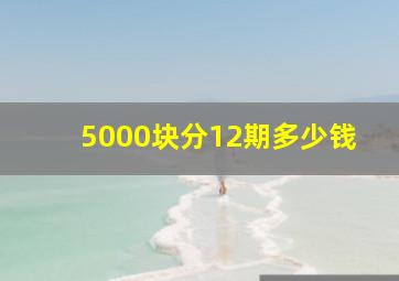 5000块分12期多少钱