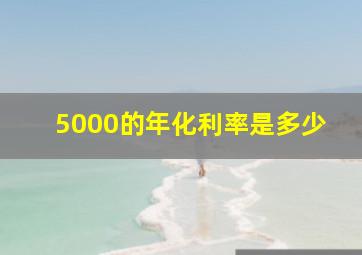 5000的年化利率是多少