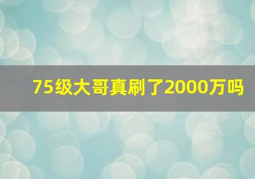 75级大哥真刷了2000万吗