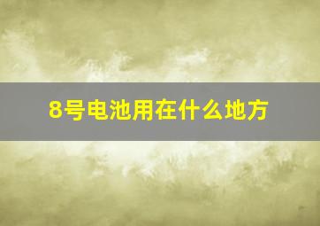 8号电池用在什么地方