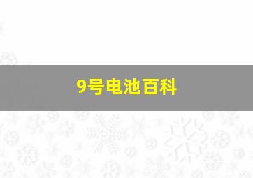 9号电池百科