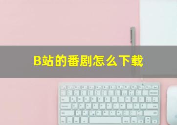 B站的番剧怎么下载