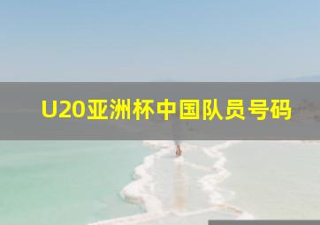 U20亚洲杯中国队员号码