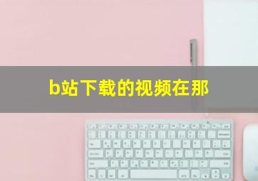 b站下载的视频在那