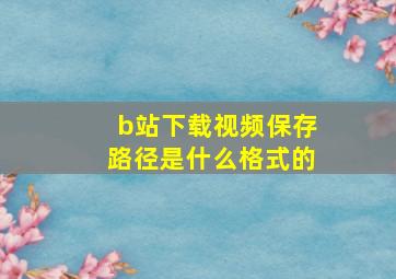 b站下载视频保存路径是什么格式的