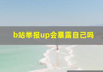 b站举报up会暴露自己吗