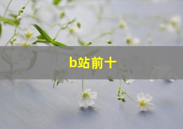 b站前十