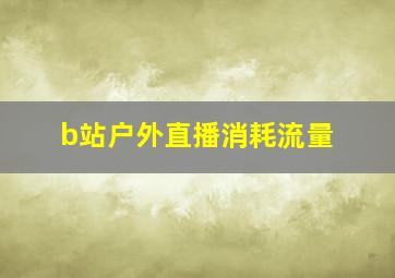 b站户外直播消耗流量