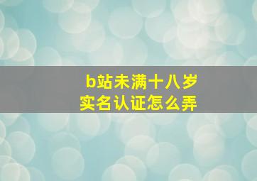 b站未满十八岁实名认证怎么弄