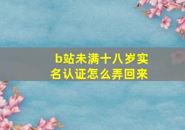 b站未满十八岁实名认证怎么弄回来