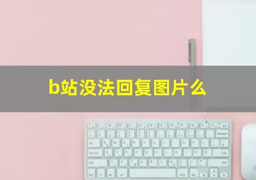 b站没法回复图片么