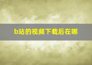 b站的视频下载后在哪