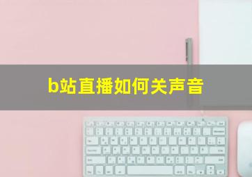 b站直播如何关声音