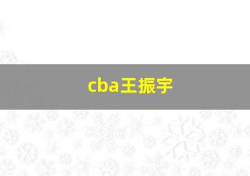 cba王振宇