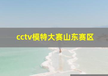 cctv模特大赛山东赛区