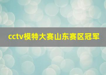 cctv模特大赛山东赛区冠军