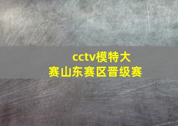 cctv模特大赛山东赛区晋级赛