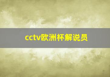 cctv欧洲杯解说员