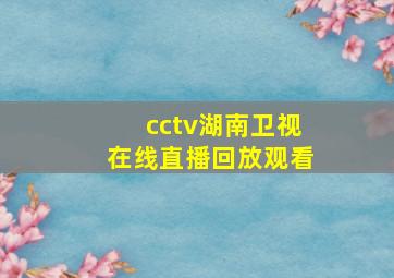 cctv湖南卫视在线直播回放观看