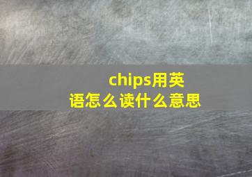 chips用英语怎么读什么意思