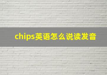 chips英语怎么说读发音