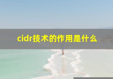 cidr技术的作用是什么