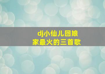 dj小仙儿回娘家最火的三首歌