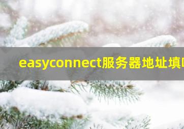 easyconnect服务器地址填啥