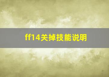 ff14关掉技能说明