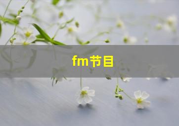 fm节目