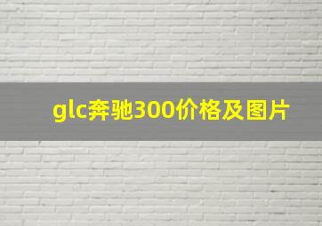 glc奔驰300价格及图片