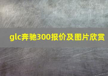 glc奔驰300报价及图片欣赏