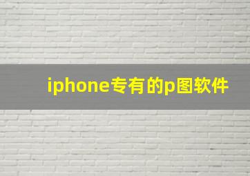 iphone专有的p图软件