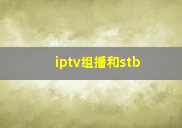 iptv组播和stb