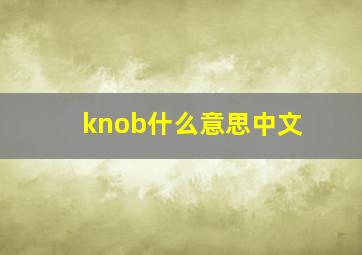 knob什么意思中文