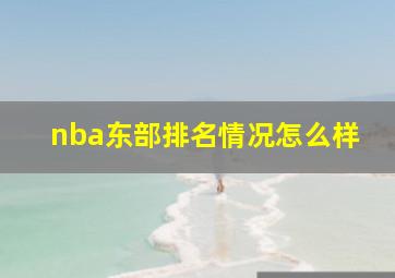 nba东部排名情况怎么样