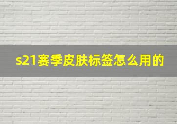 s21赛季皮肤标签怎么用的