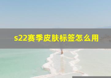 s22赛季皮肤标签怎么用